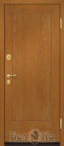 Металлическая дверь с прямоугольным рисунком P20