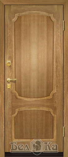 Металлическая дверь с арочным рисунком A5