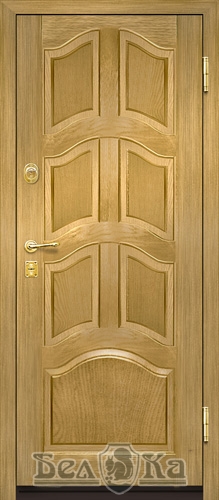 Металлическая дверь с арочным рисунком A9