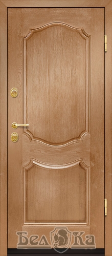 Металлическая дверь с арочным рисунком A13