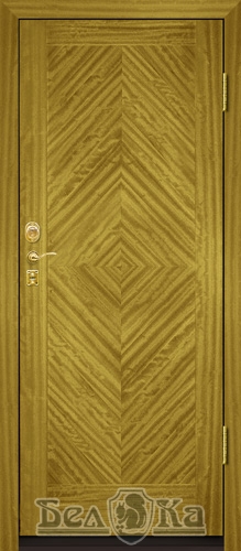 Входная металлическая дверь с дизайнерским рисунком M14