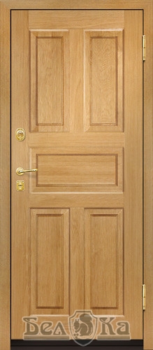 Металлическая дверь с прямоугольным рисунком P1